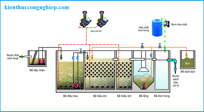xu_ly_nuoc_thai_bang_phuong_phap_sinh_hoc_la_gi