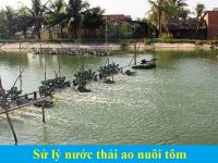 Xử lý nước thải ao nuôi tôm