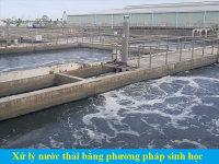 Xử lý nước thải bằng phương pháp sinh học