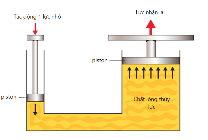 thuy-luc-la-gi