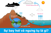 Sự bay hơi là gì? Sự ngưng tụ là gì?